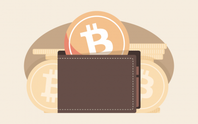 5 Types of Bitcoin Wallets New Users Should Be Familiar with