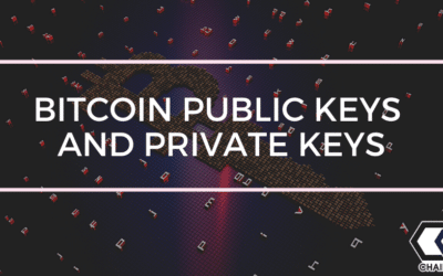Bitcoin Public Keys And Private Keys