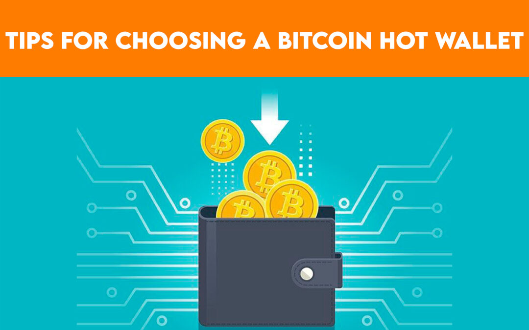 Tips for Choosing a Bitcoin Digital Wallet / Hot Wallets